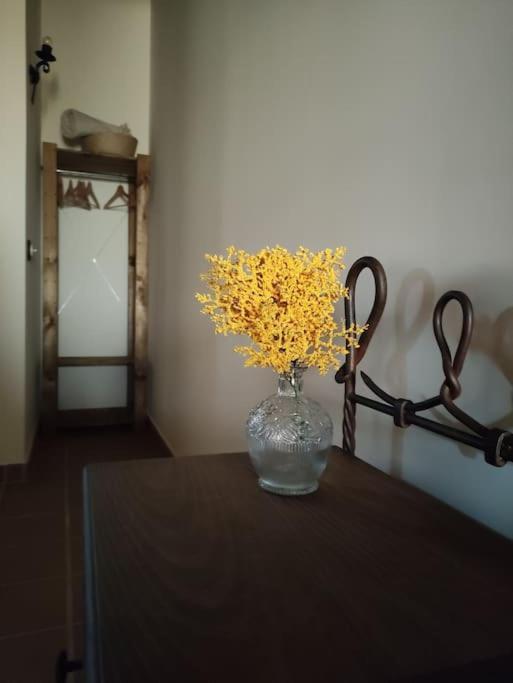 La Casa De La Abuela Amalia Apartment Arenas de San Pedro Bagian luar foto